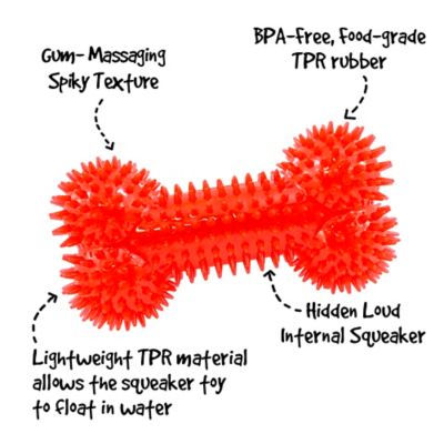 Image showing  Spikey Bone Dog Toy