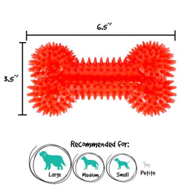 Image showing  Spikey Bone Dog Toy