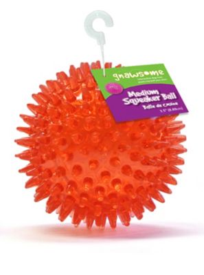 Gnawsome Spikey Ball Dog Toy