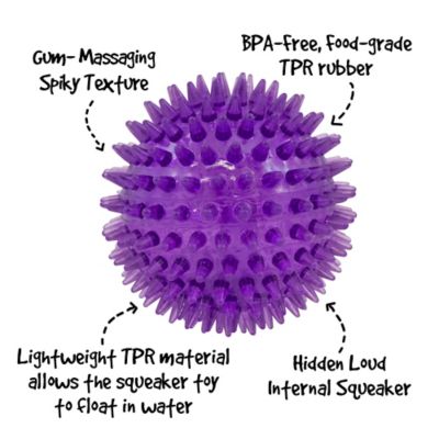 Image showing  Spikey Ball Dog Toy