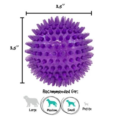 Image showing  Spikey Ball Dog Toy