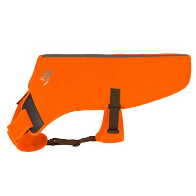 orange vest for hunting dogs