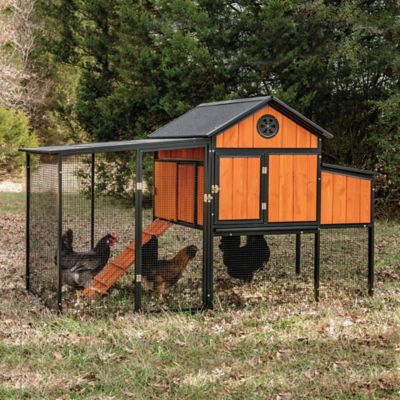 Producer's Pride Sentinel Chicken Coop, 6 Chicken Capacity