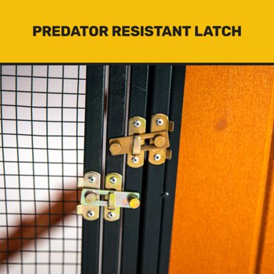 Image showing 5 th Producer's Pride Sentinel Chicken Coop, 6 Chicken Capacity