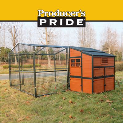 Image showing  Defender Extra-Large Chicken Coop, 18 Chicken Capacity