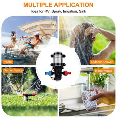 Image showing 6 th Camplux 12VDC Water Pump, 1.6 GPM