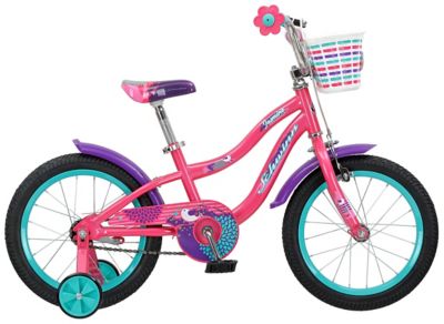 schwinn 16 inch bike girl