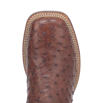 Image showing 2 th Dan Post Men's Alamosa Ostrich Boots