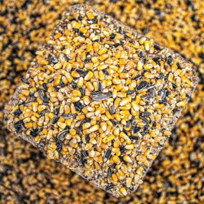 Image showing  NITRO Fortified Deer Blend, 40 lb. Bag