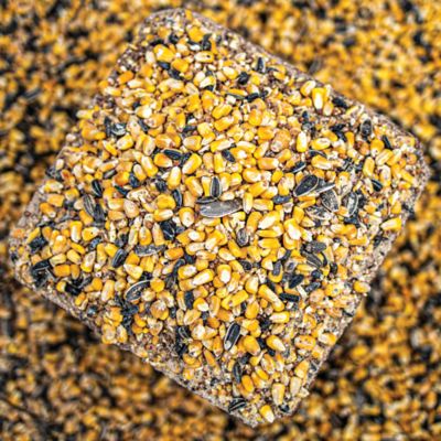 Image showing  NITRO Fortified Deer Blend, 10 lb. Bag