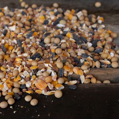 Image showing  Protein Plus Deer Blend, 25 lb. Bag