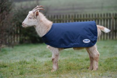 WeatherBeeta 100g/600D Nylon Waterproof Goat Coat, Polyfill Insulation