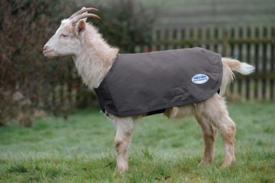 WeatherBeeta 600D Deluxe Nylon Goat Coat