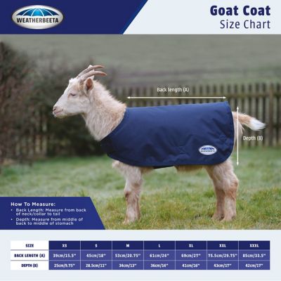 Image showing  600D Deluxe Nylon Goat Coat