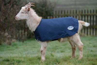 WeatherBeeta 600D Deluxe Goat Coat
