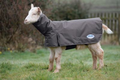 WeatherBeeta 100g/600D Nylon Goat Coat with Extended Neck