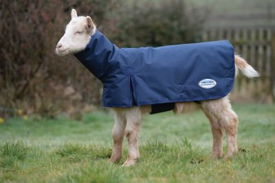 WeatherBeeta 600D Goat Coat with Extended Neck