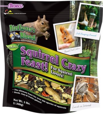 Brown's Bird Lover's Blend Squirrel Crazy Feast! Mixed Feed, 3 lb. Bag, 4 pk.