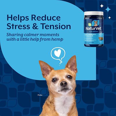 Image showing  Hemp Quiet Moments Plus Hemp Seed Soft Chews for Dogs