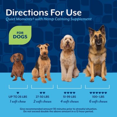Image showing 5 th NaturVet Hemp Quiet Moments Plus Hemp Seed Soft Chews for Dogs