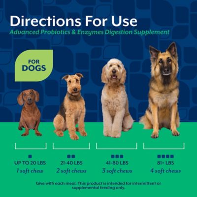 Image showing 5 th NaturVet Advanced Probiotics & Enzymes Soft Chews 70 ct.