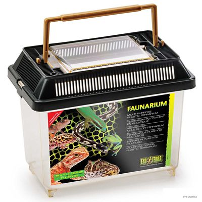 Image showing  Faunarium Medium All-Purpose Terrarium