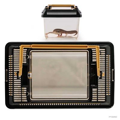 Image showing  Faunarium Medium All-Purpose Terrarium
