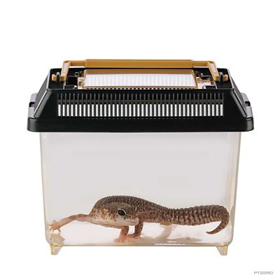 Image showing  Faunarium Medium All-Purpose Terrarium