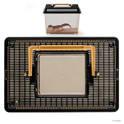 Image showing 2 th Exo Terra Faunarium Medium All-Purpose Terrarium