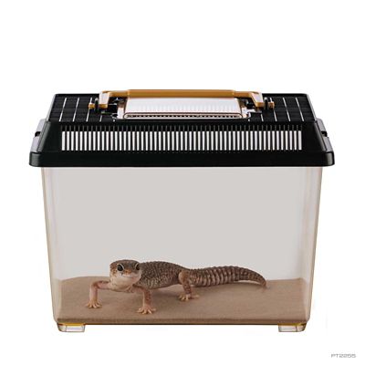 Image showing 3 th Exo Terra Faunarium Medium All-Purpose Terrarium