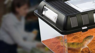 Image showing 6 th Exo Terra Faunarium Medium All-Purpose Terrarium