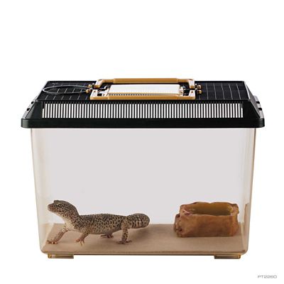 Image showing 3 th Exo Terra Faunarium Medium All-Purpose Terrarium