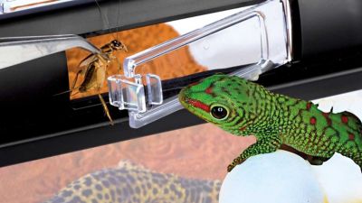 Image showing 4 th Exo Terra Faunarium Medium All-Purpose Terrarium