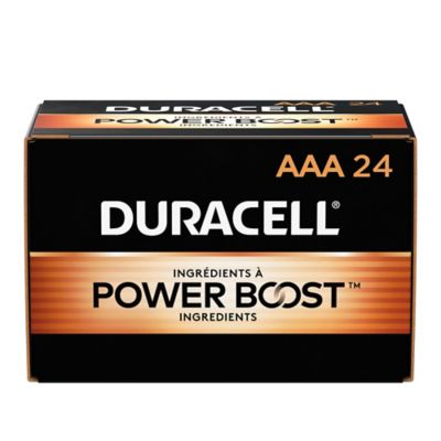 Duracell AAA Coppertop Bulk Batteries, 24-Pack
