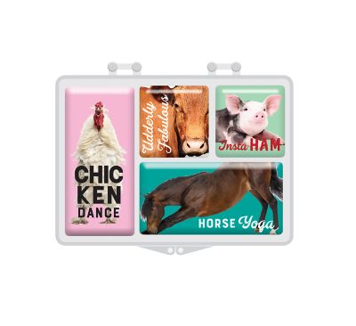 Bella Bug Farm Animal Magnet Set Stored in Acrylic Box, 3.94 in. x 2.95 in. x 0.67 in.