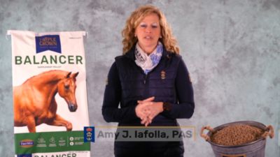 Image showing  30% Ration Balancer Pelleted Horse Feed, 50 lb. Bag