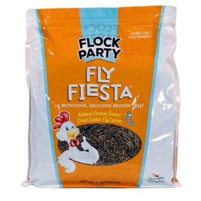 Flock Party Fly Fiesta Poultry Treats, 4 lb.