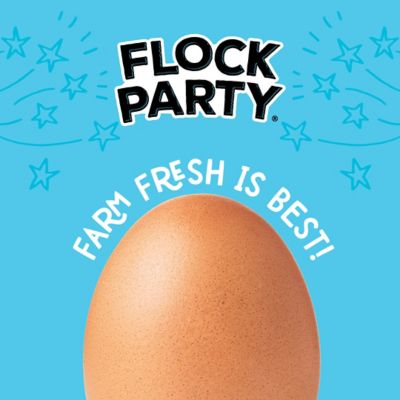 Image showing  Fly Fiesta Poultry Treats