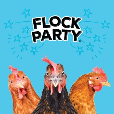 Image showing  Fly Fiesta Poultry Treats