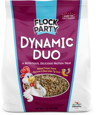 Flock Party Dynamic Duo Poultry Treats, 4 lb.