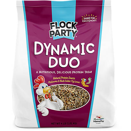 Flock Party Dynamic Duo Poultry Treats, 4 lb.