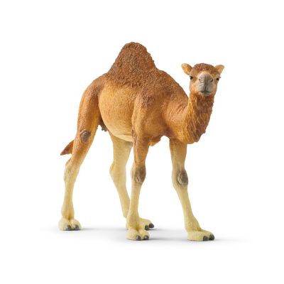 Schleich Dromedary Camel Toy Figure Ages 3 8 14832 At Tractor Supply Co