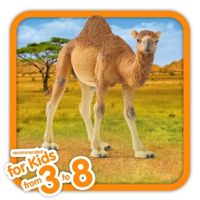 Image showing  Dromedary Camel Toy Figure
