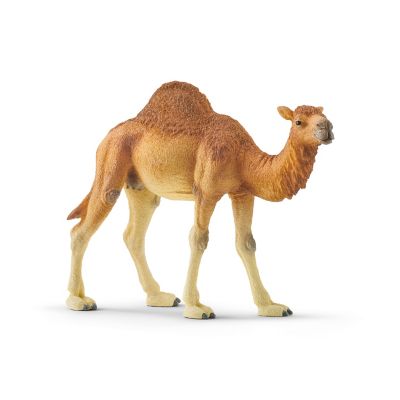 Image showing  Dromedary Camel Toy Figure