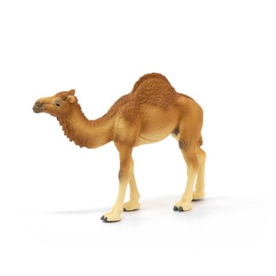Image showing  Dromedary Camel Toy Figure