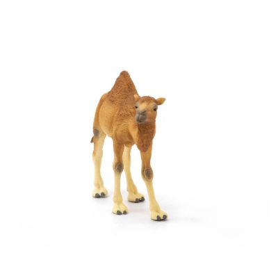 Image showing  Dromedary Camel Toy Figure