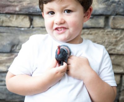 Image showing  Turkey Toy Figurine