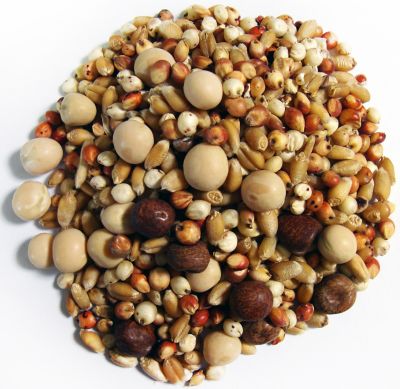 Image showing  Breeder Kafir Pigeon Food, 50 lb., 41709