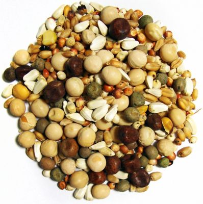 Image showing  Developer Kafir Pigeon Food, 50 lb., 41712