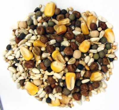 Image showing  International Small Corn Pigeon Food, 50 lb., 41744